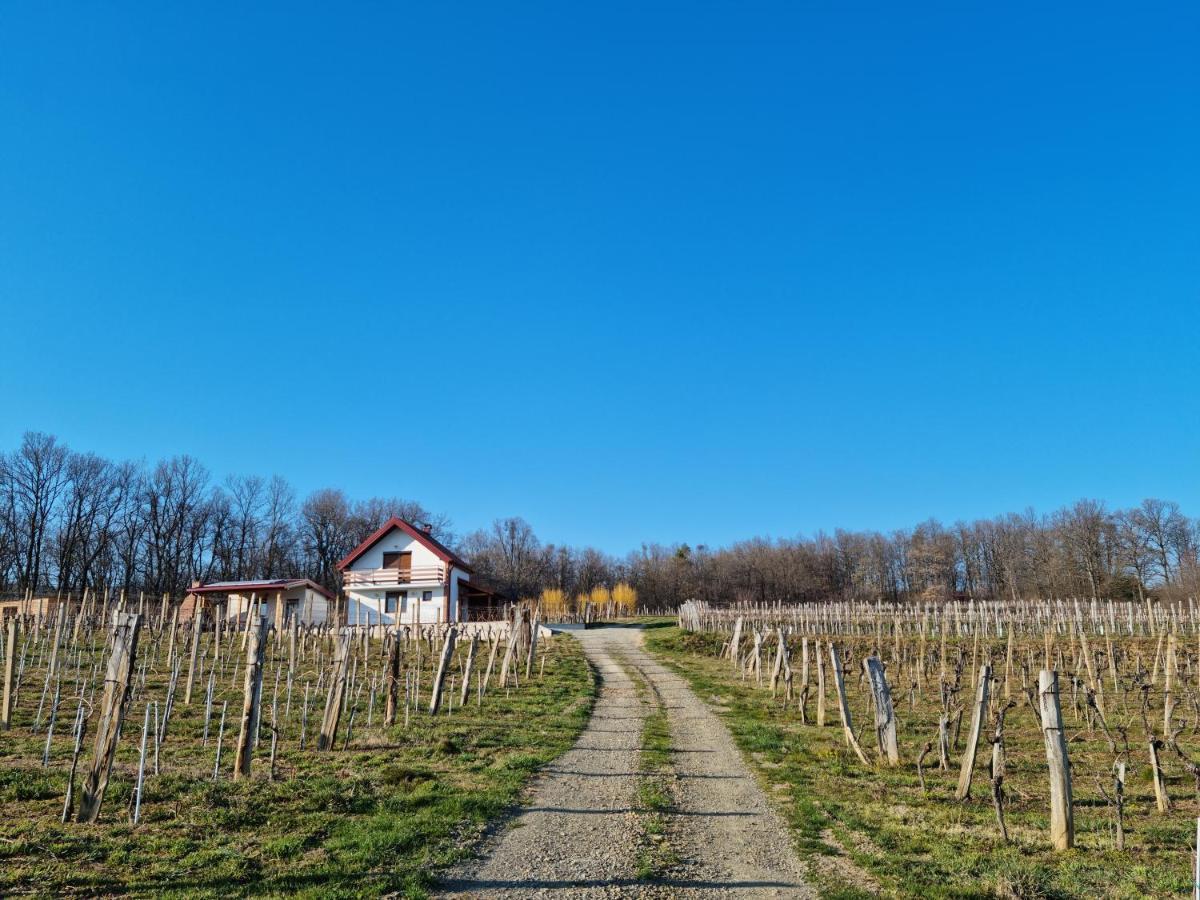 Kuca Za Odmor Baron Villa Kutjevo Luaran gambar