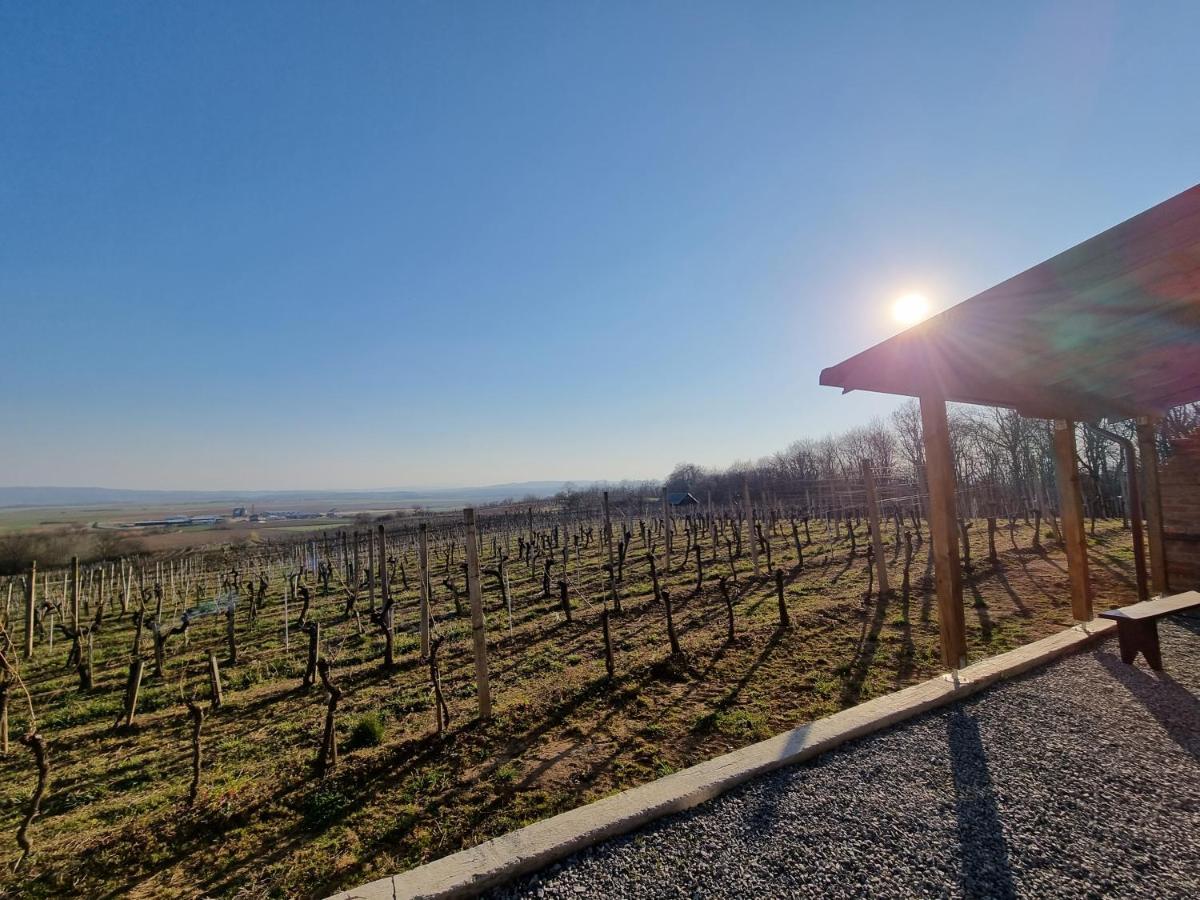 Kuca Za Odmor Baron Villa Kutjevo Luaran gambar