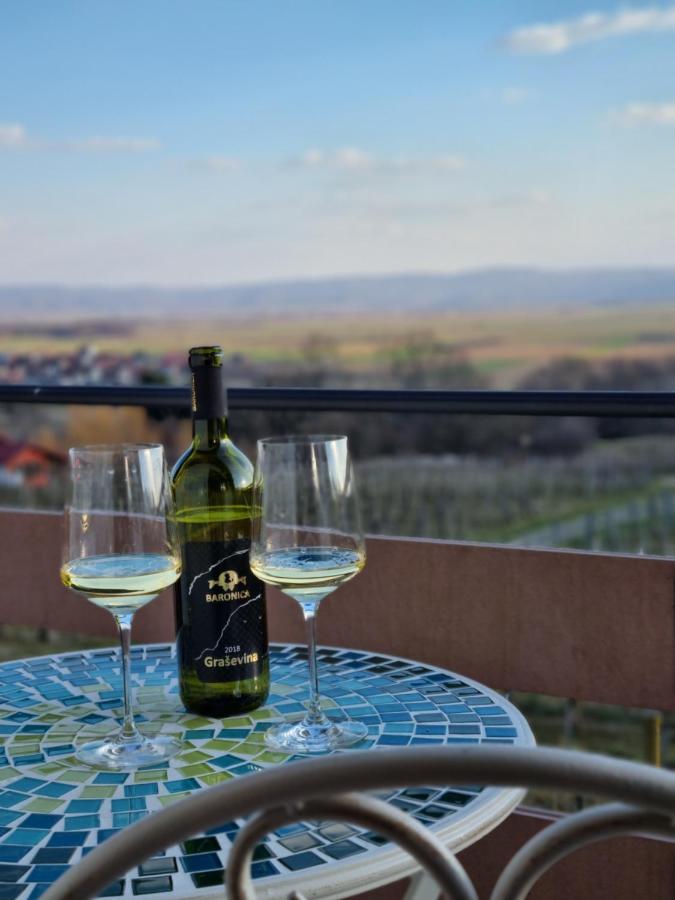 Kuca Za Odmor Baron Villa Kutjevo Luaran gambar
