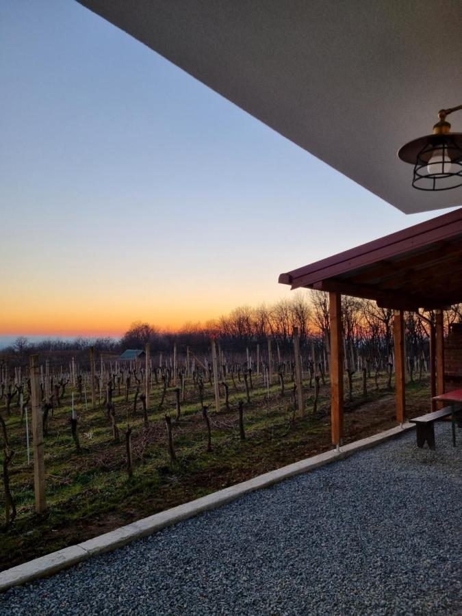 Kuca Za Odmor Baron Villa Kutjevo Luaran gambar