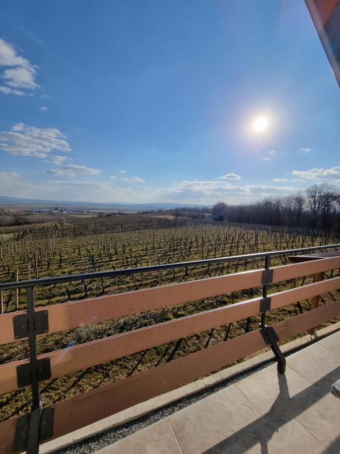 Kuca Za Odmor Baron Villa Kutjevo Luaran gambar