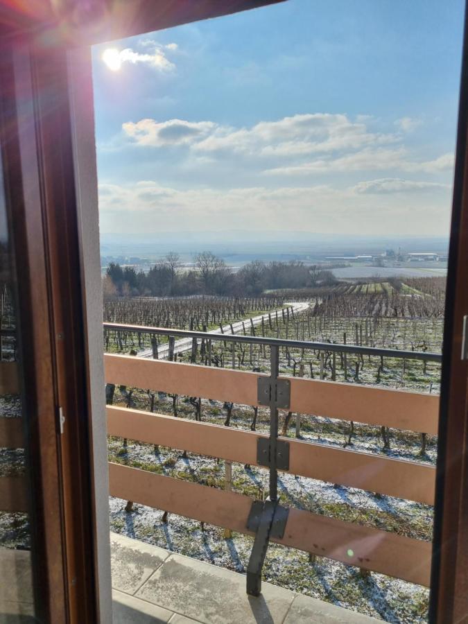 Kuca Za Odmor Baron Villa Kutjevo Luaran gambar