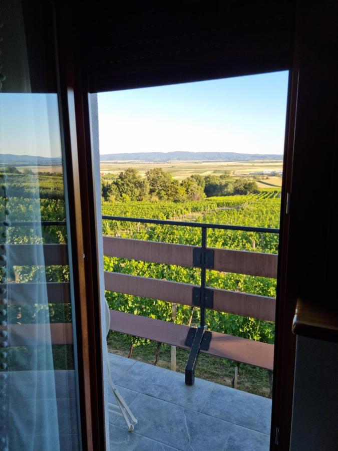 Kuca Za Odmor Baron Villa Kutjevo Luaran gambar