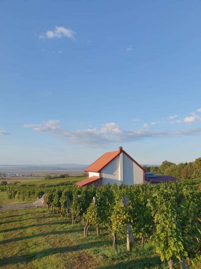 Kuca Za Odmor Baron Villa Kutjevo Luaran gambar