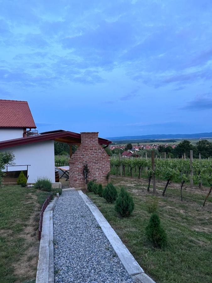 Kuca Za Odmor Baron Villa Kutjevo Luaran gambar